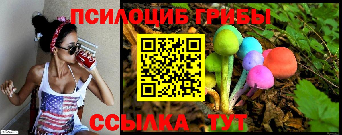 Псилоцибиновые грибы Cubensis  Псилоцибиновые грибы мухоморы  наркотики  Десногорск  Вход с VPN 